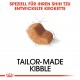 Royal Canin Adult Shih Tzu Hundefutter 