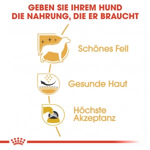 Royal Canin West Highland White Terriër adult hondenvoer