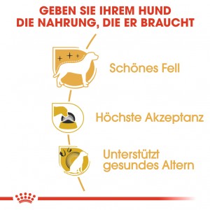 Royal Canin Adult Yorkshire Terrier Hundefutter
