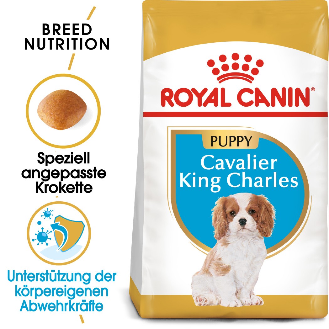 Royal Canin Puppy Cavalier King Charles Hundefutter