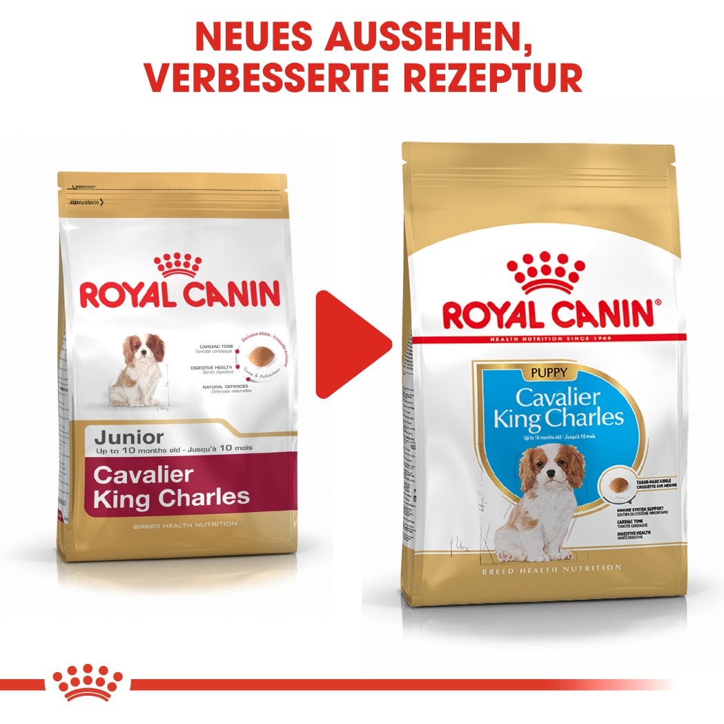 Royal Canin Puppy Cavalier King Charles HundefutterGünstig