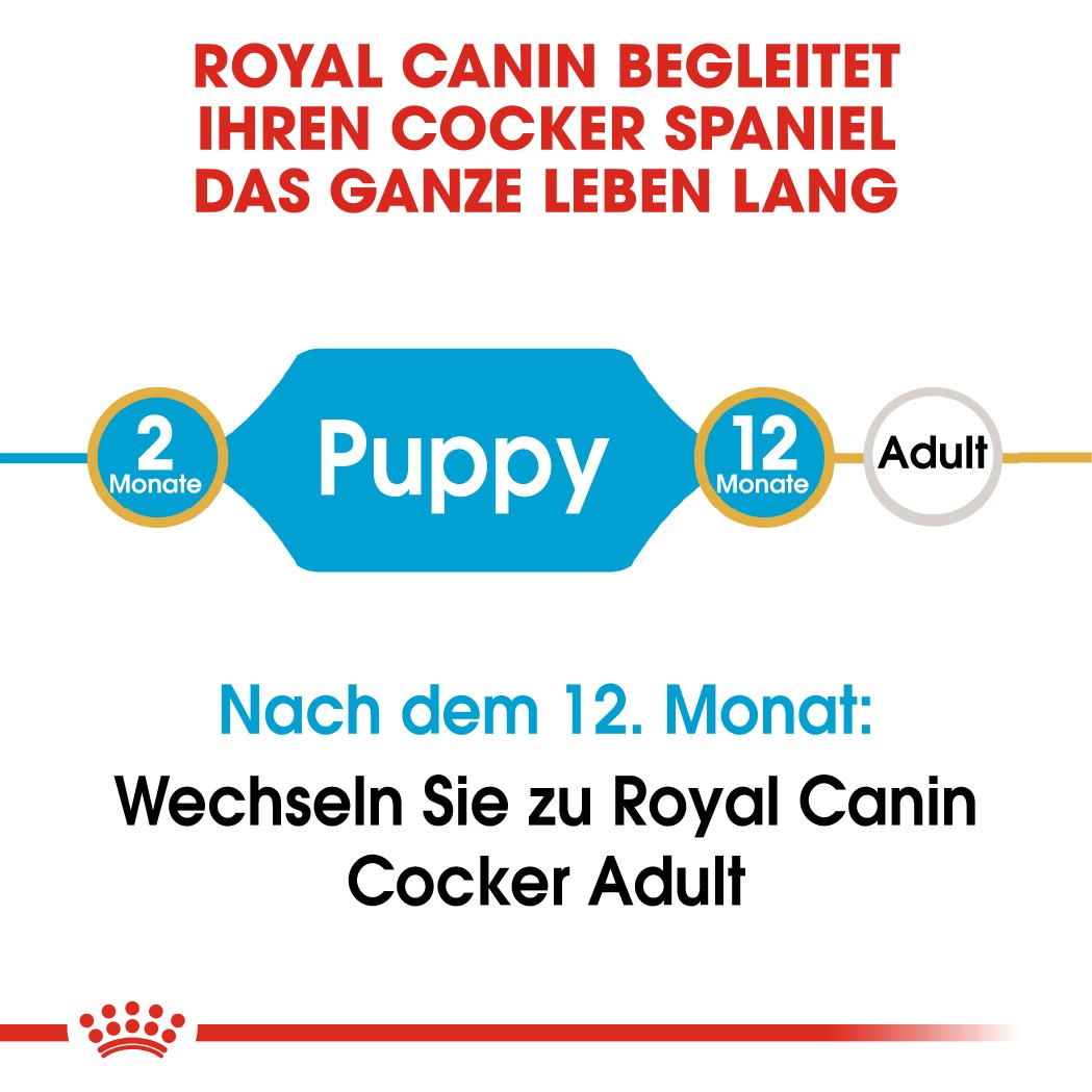 Royal Canin Puppy Cocker Spaniel Hundefutter