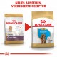 Royal Canin Puppy Cocker Spaniel Hundefutter