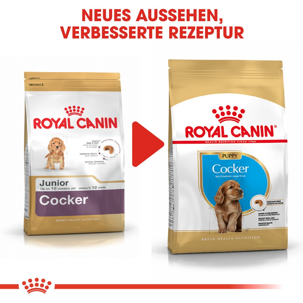 Royal Canin Puppy Cocker Spaniel Hundefutter