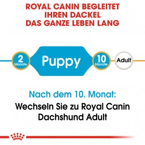 Royal Canin Puppy Dachshund Hundefutter