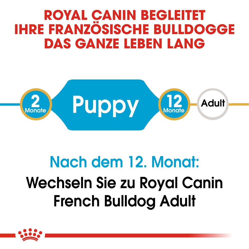 Royal Canin Puppy Französische Bulldogge Hundefutter