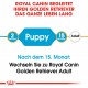 Royal Canin Puppy Golden Retriever Hundefutter