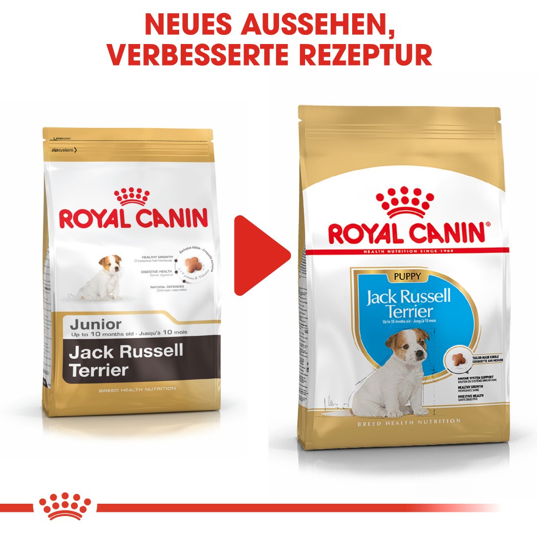 Royal Canin Puppy Jack Russell Terrier Hundefutter