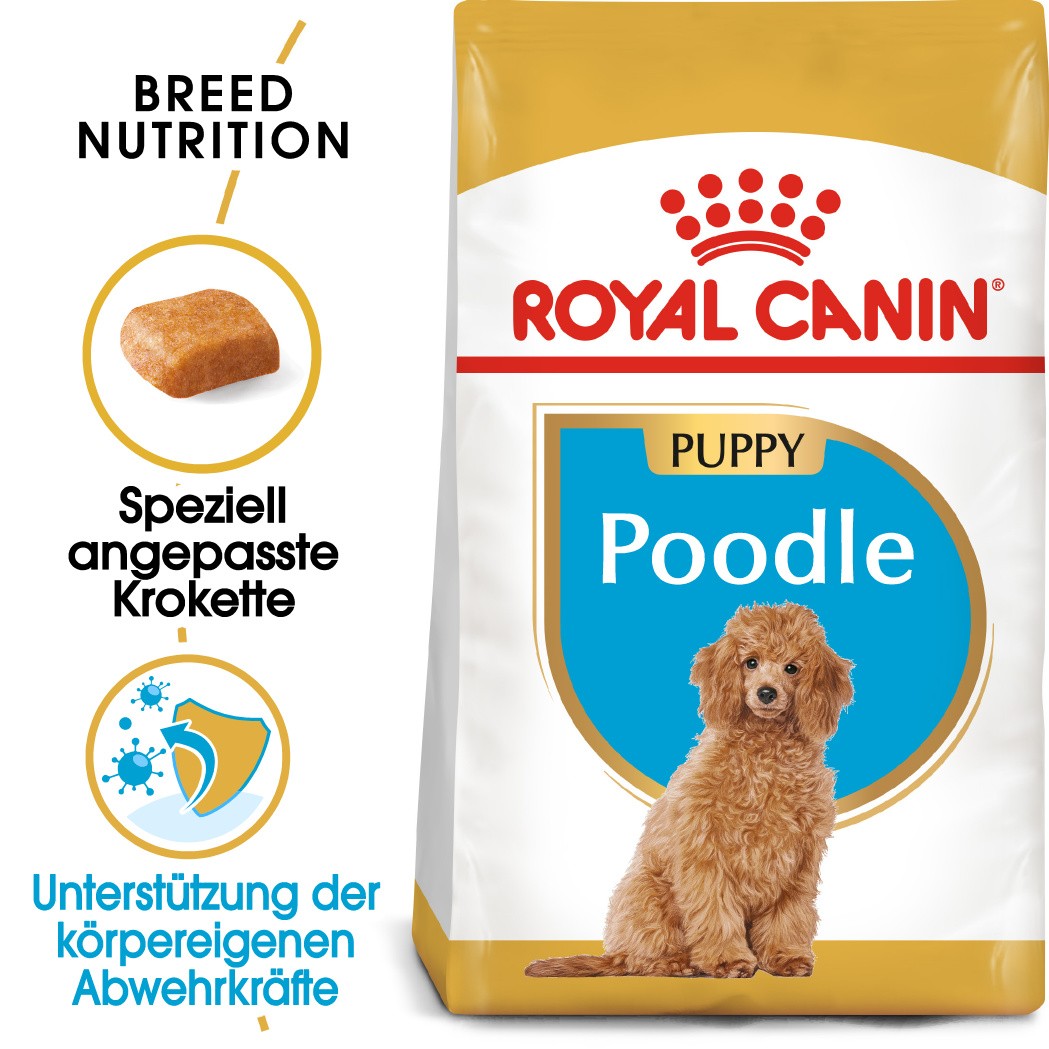 Royal Canin Poodle 33 junior hondenvoer