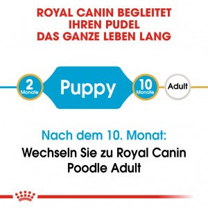 Royal Canin Poodle 33 junior hondenvoer