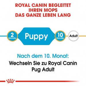 Royal Canin Puppy Mops Hundefutter