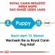 Royal Canin Puppy Mops Hundefutter