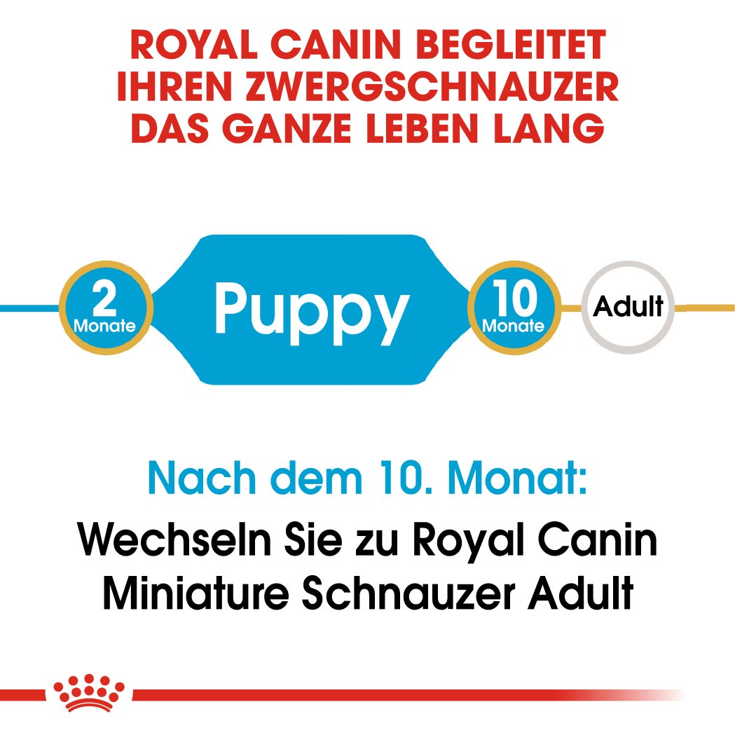 Royal Canin Miniature Schnauzer Junior Hondenvoer