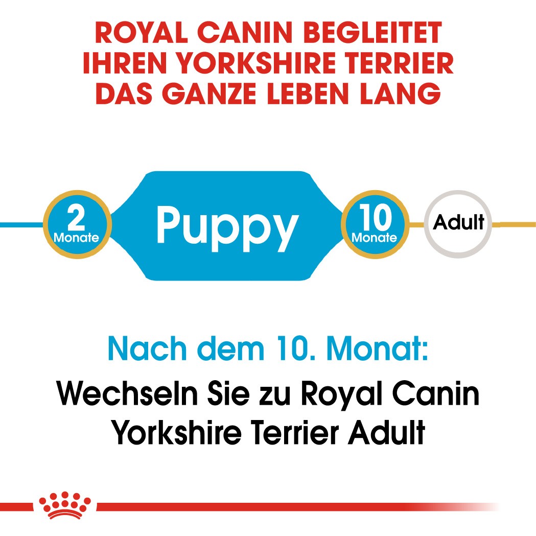 Royal Canin Puppy Yorkshire Terrier Hundefutter