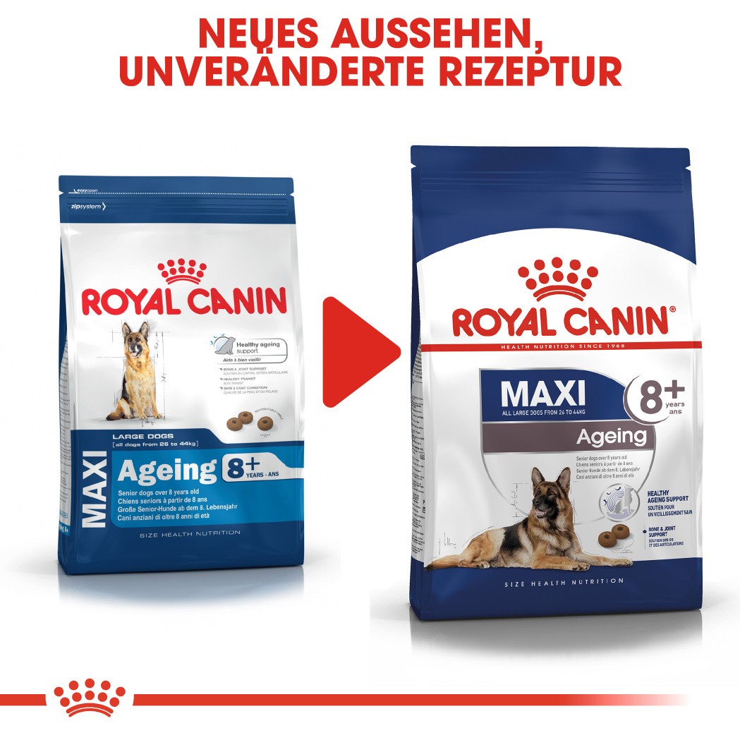 Royal Canin Maxi Ageing 8+ Hundefutter