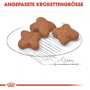Royal Canin Mini Adult 8+ Hundefutter