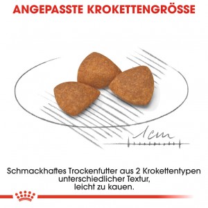 Royal Canin X-Small Ageing 12+ hondenvoer