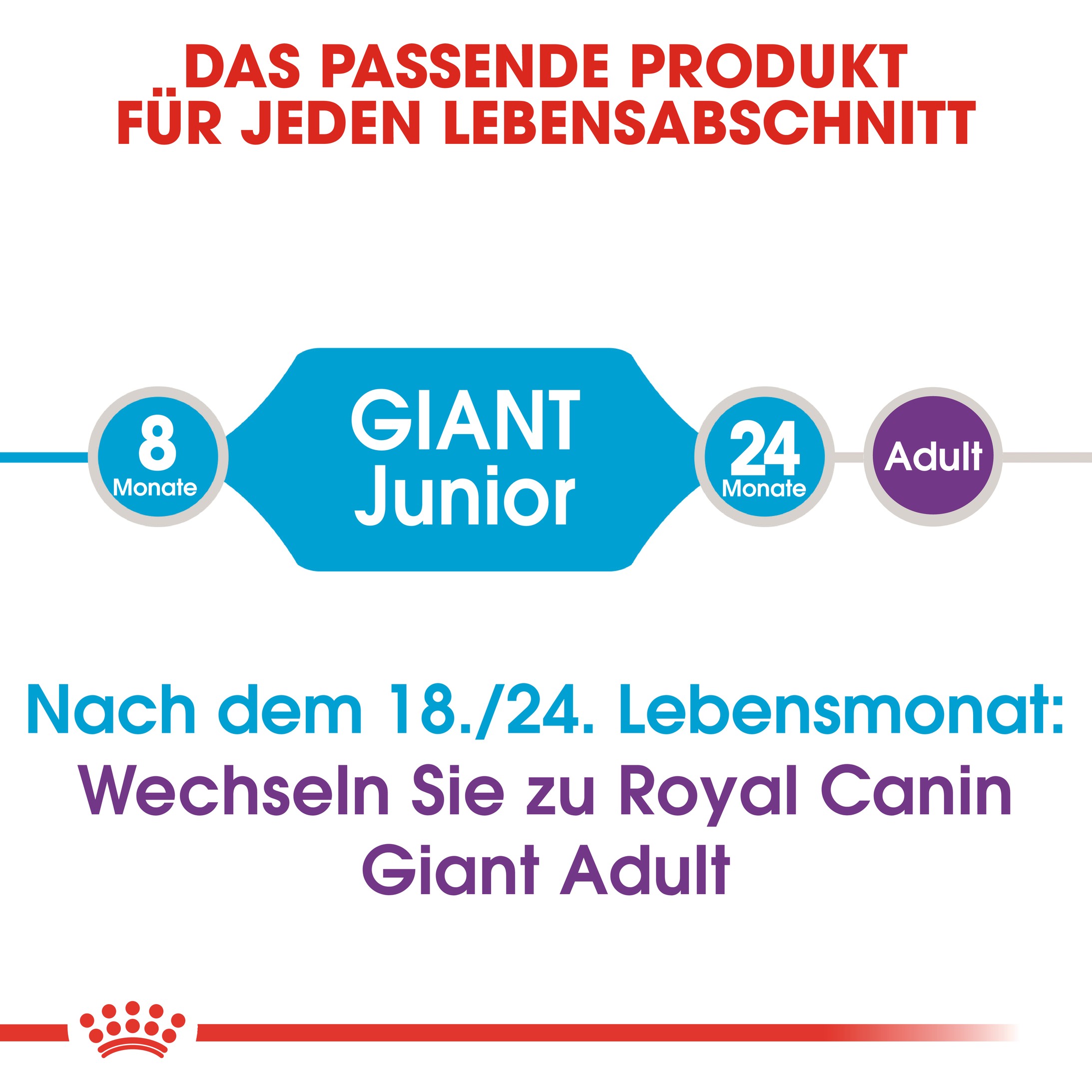 Royal Canin Giant Junior Hundefutter