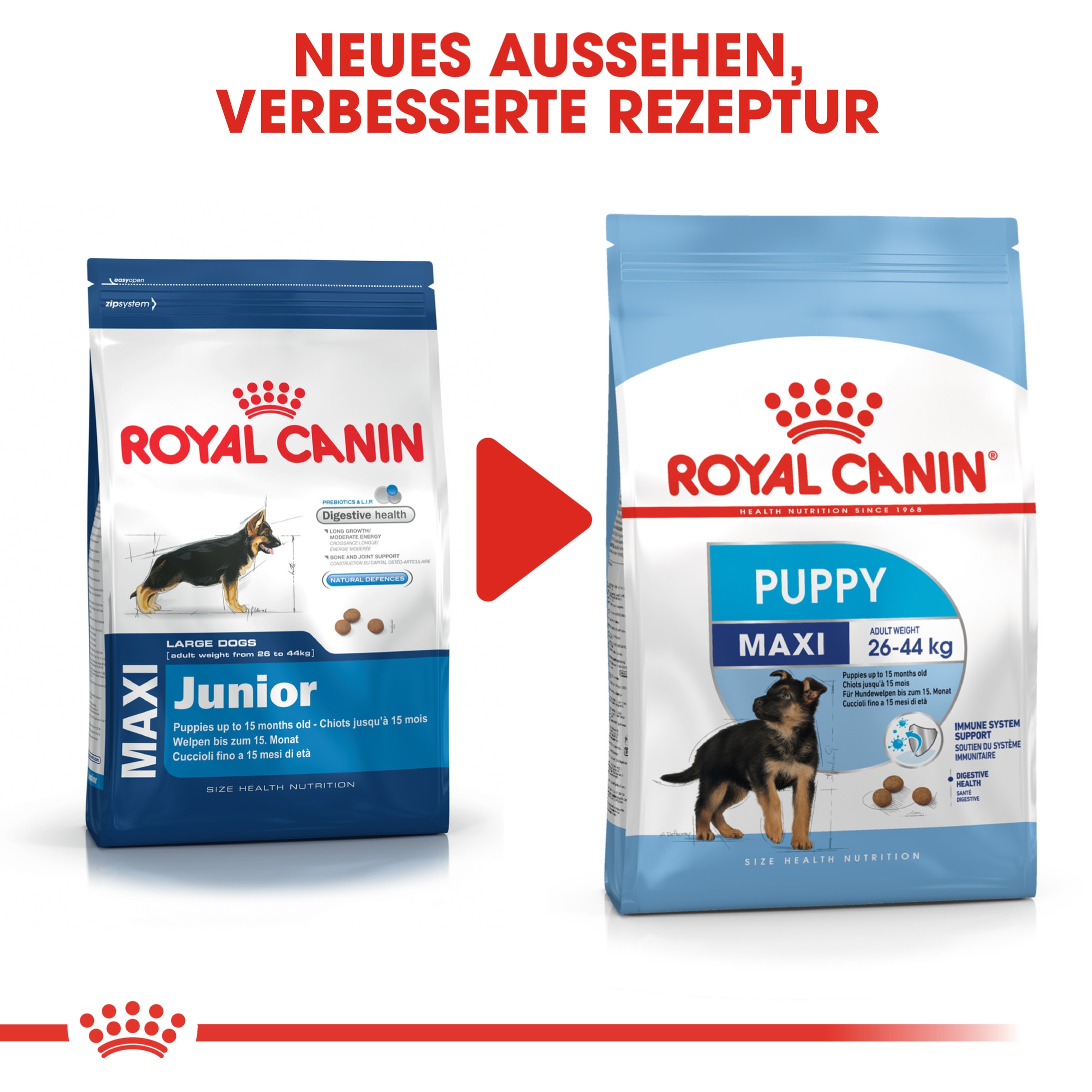 Royal Canin Maxi Puppy Hundefutter