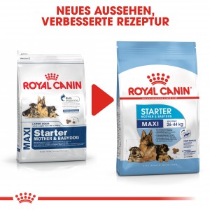 Royal Canin Maxi Starter Hundefutter