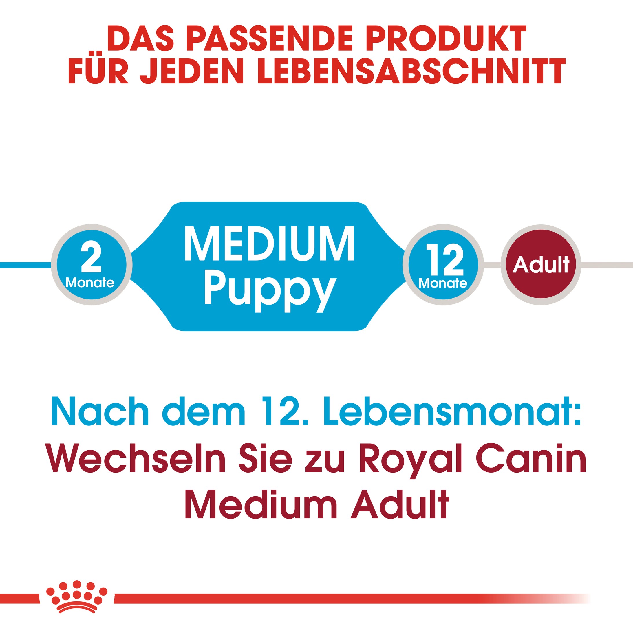 Royal Canin Medium Puppy Hundefutter