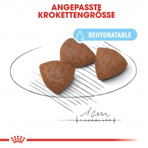 Royal Canin Medium Starter Mother and Babydog