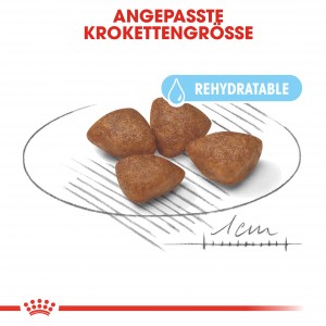 Royal Canin Mini Starter 