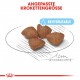 Royal Canin Mini Starter 