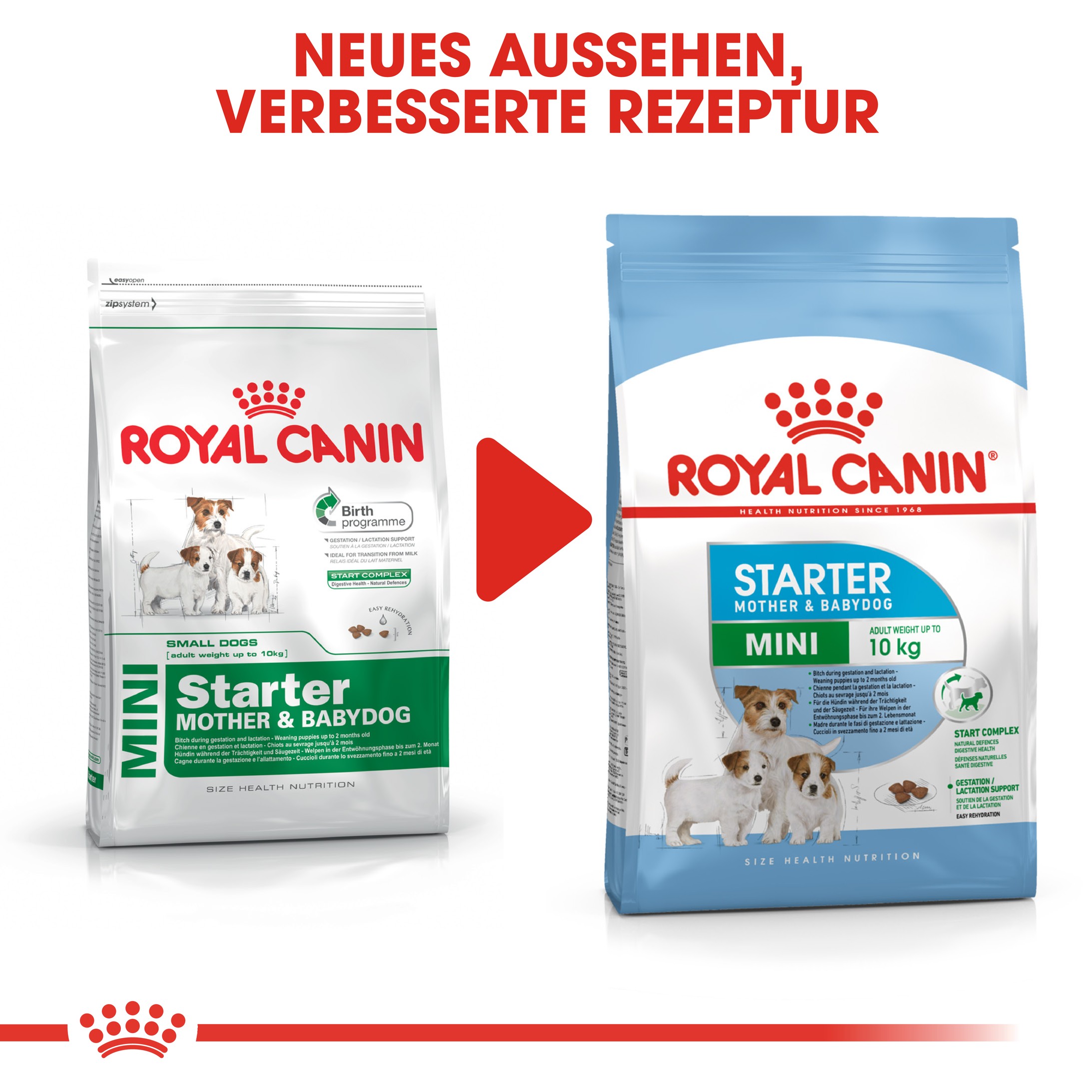 Royal Canin Mini Starter 