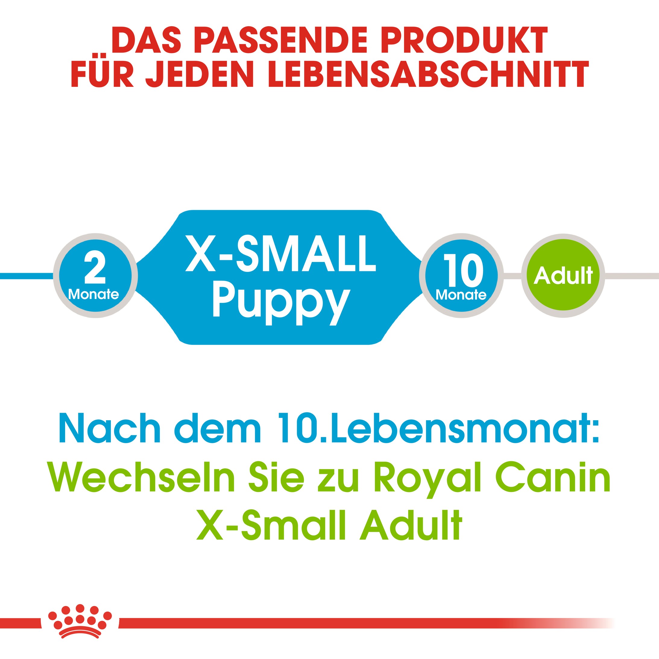 Royal Canin Mini X-Small Junior voor de hond