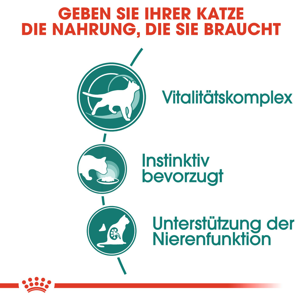 Royal Canin Instinctive 7+ Katzenfutter in Soße 12x