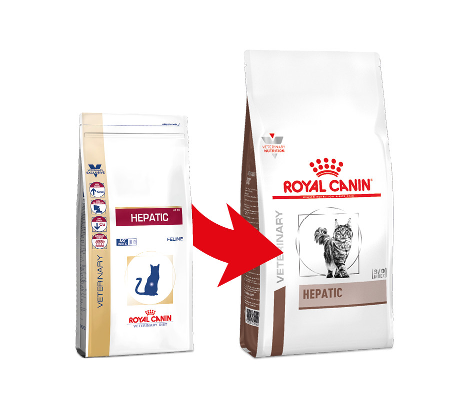 Royal Canin Hepatic Katzenfutter