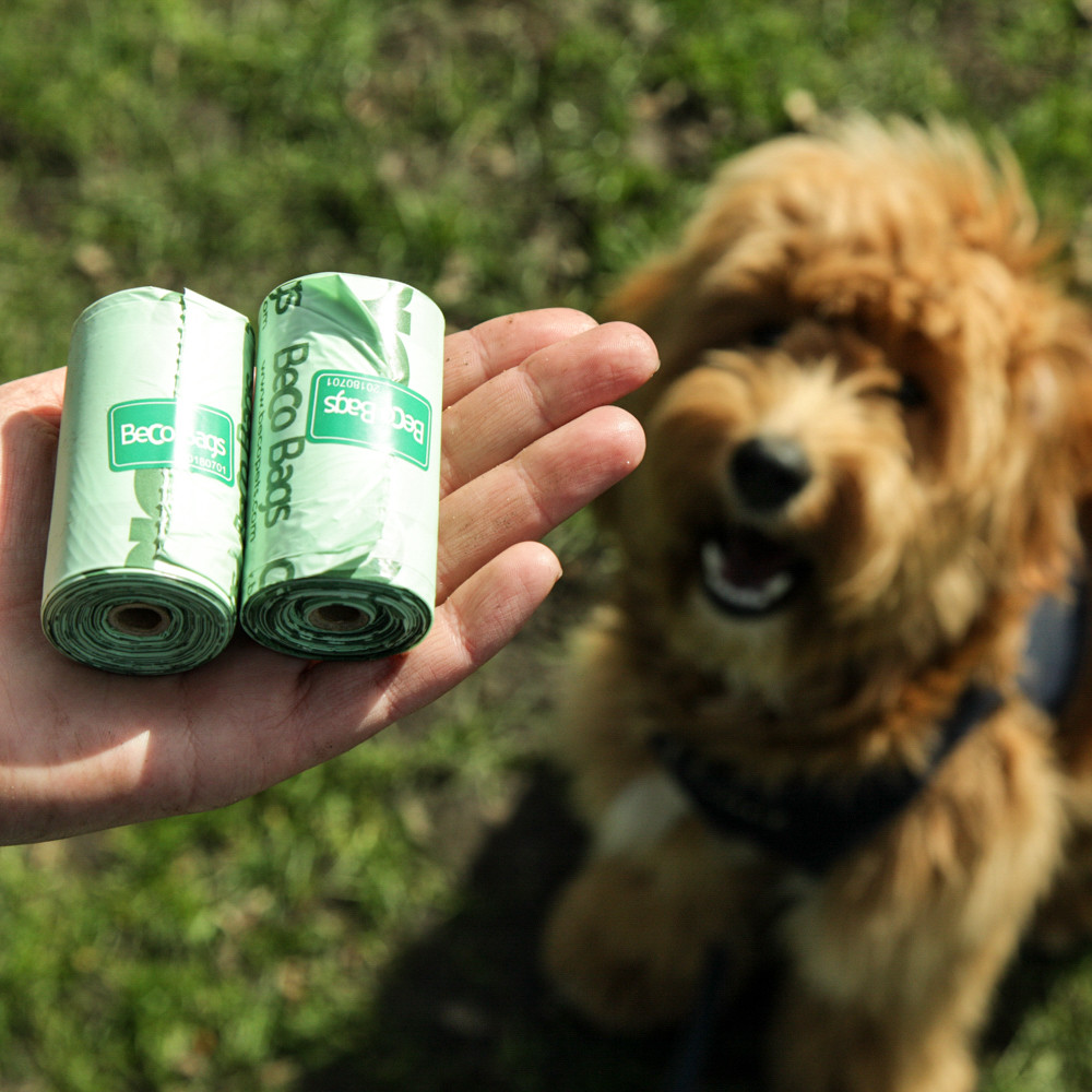 Beco Bags kompostierbare Kotbeutel für Hunde 60 Stk.Günstig