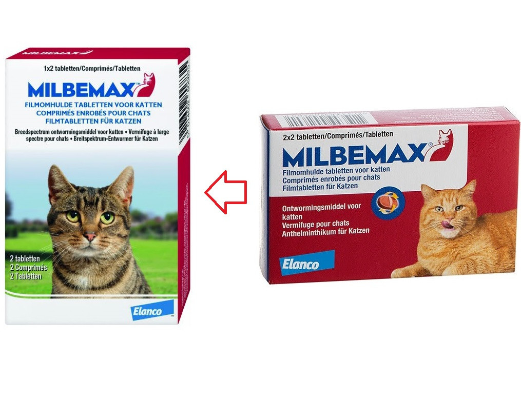 hund entwurmen tabletten