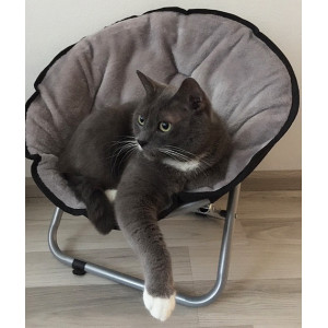 Relaxstuhl für kleine Hunde und Katze