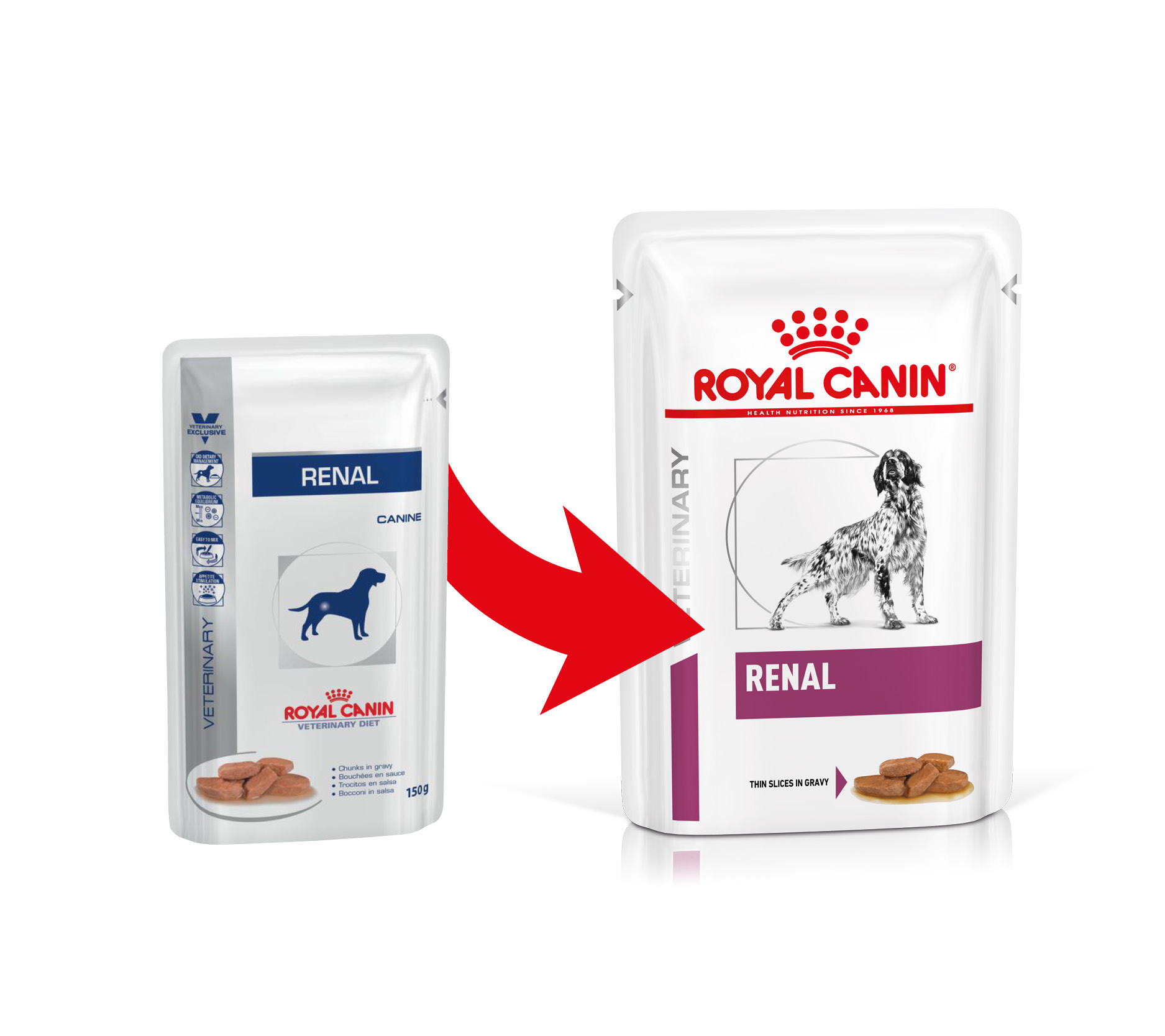 Royal Canin Veterinary Diet Renal Hunde-Nassfutter