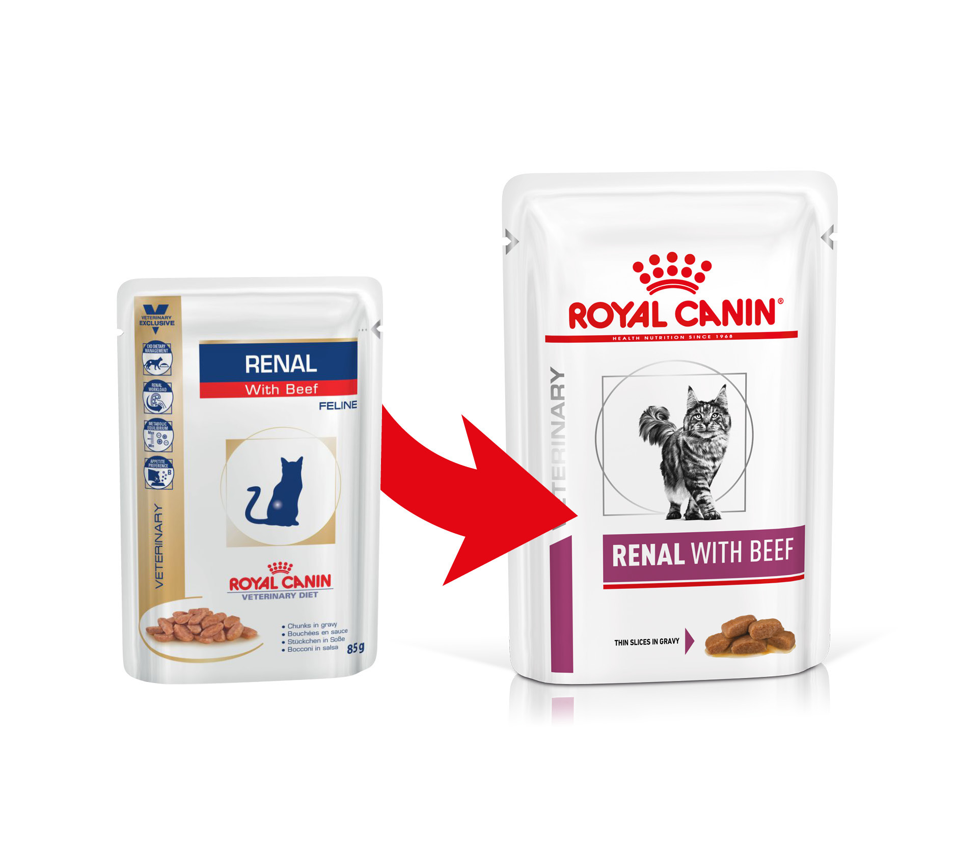 Royal Canin Renal mit Rind Katzen-Nassfutter