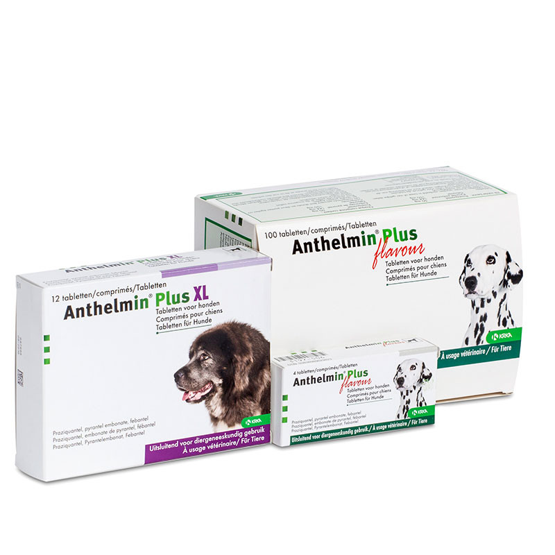 Anthelmin Plus XL für Hunde Brekz.de
