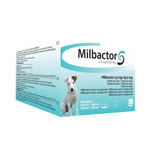 Milbactor Kleine Hond/Puppy