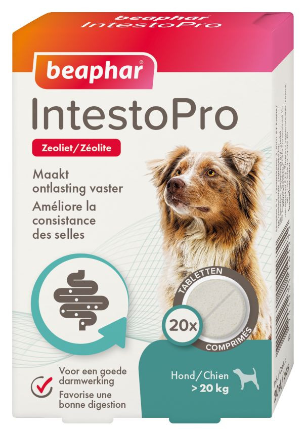 IntestoPro tabletten voor honden vanaf 20 kg