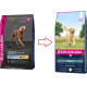 Eukanuba Adult Große Rassen Lamm & Reis Hundefutter