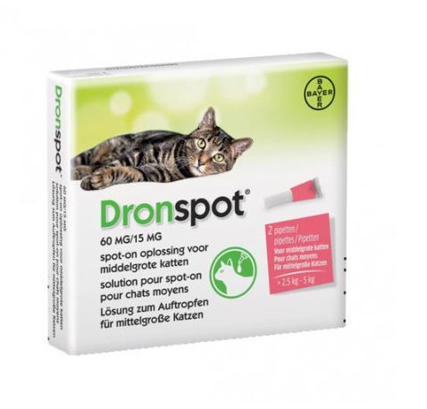 Droncit Spot On Katze Anwendung