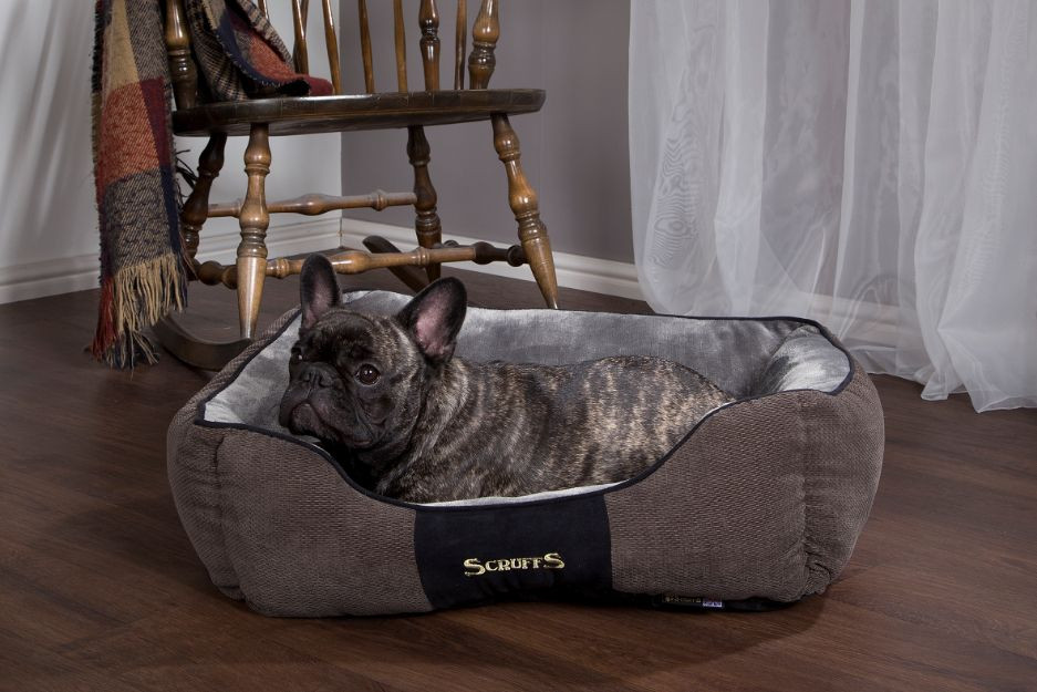 Scruffs Chester Box Bed hondenmand Graphite