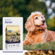 CaroCroc 18/10 Senior Hundefutter