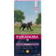 Eukanuba Puppy Large Breed Huhn Hundefutter