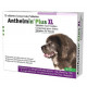 Anthelmin Plus XL für Hunde