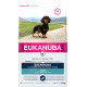 Eukanuba Dachshund adult hondenvoer