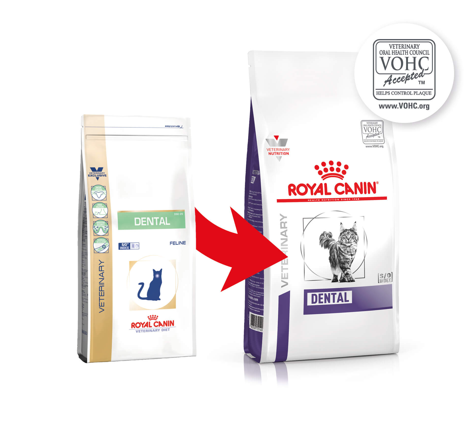 Royal Canin Veterinary Dental Katzenfutter