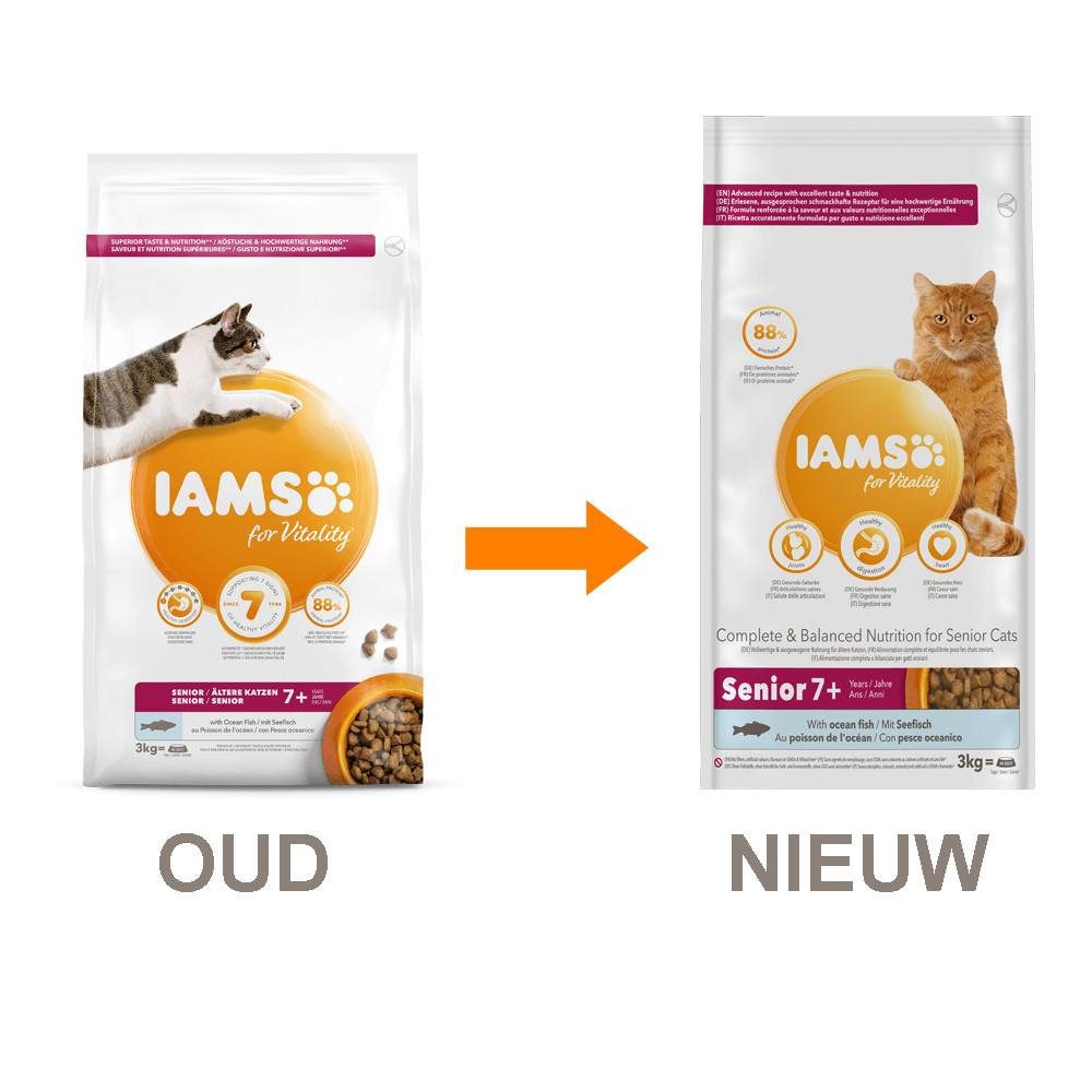 iams senior cat