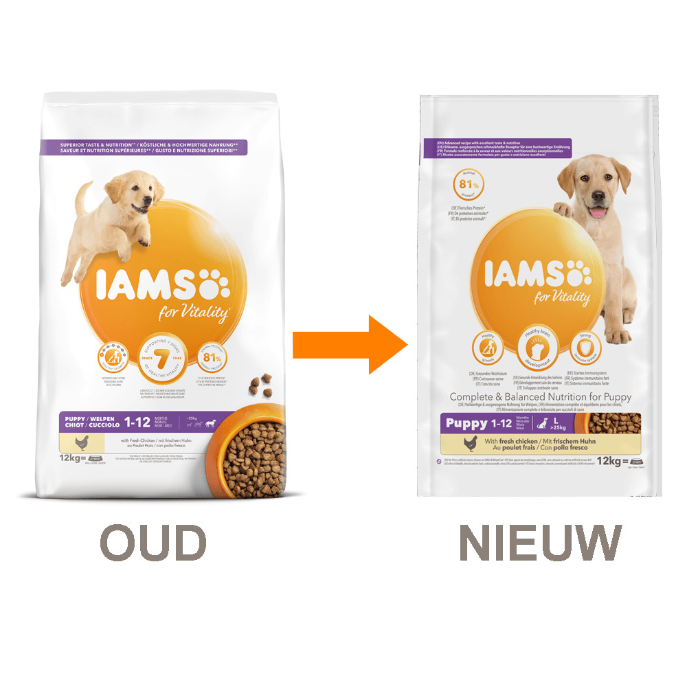 iams puppy kibble